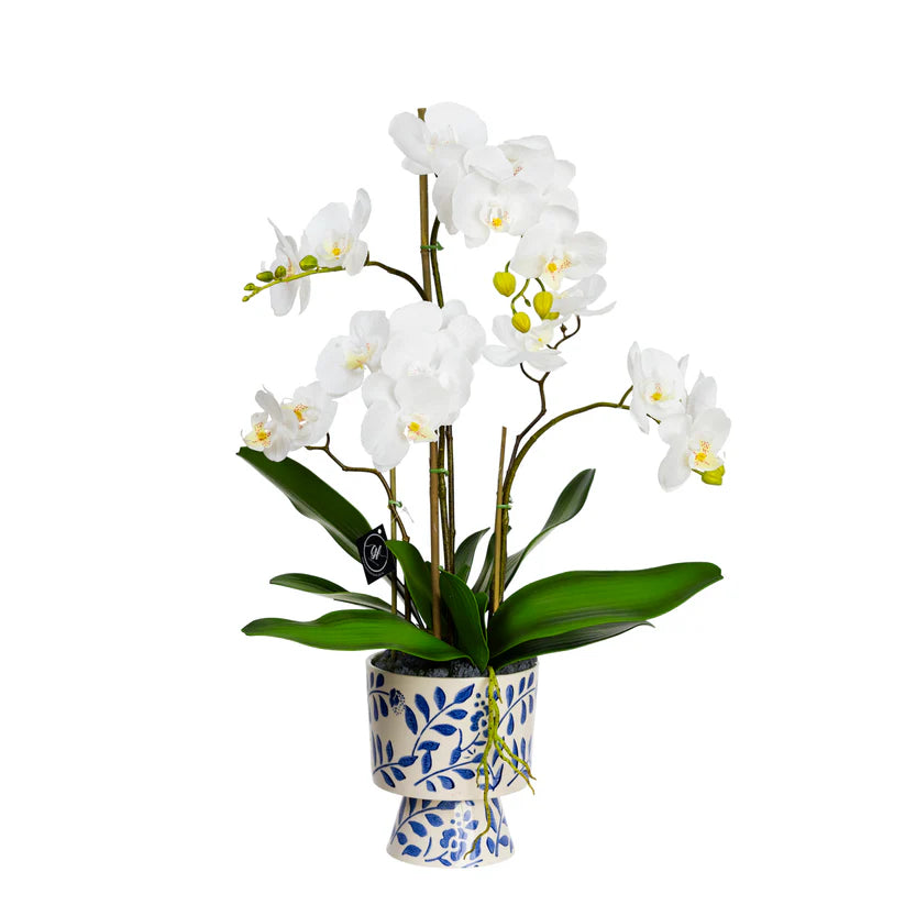 Orchid in Hampton Pot 56cm Artificial