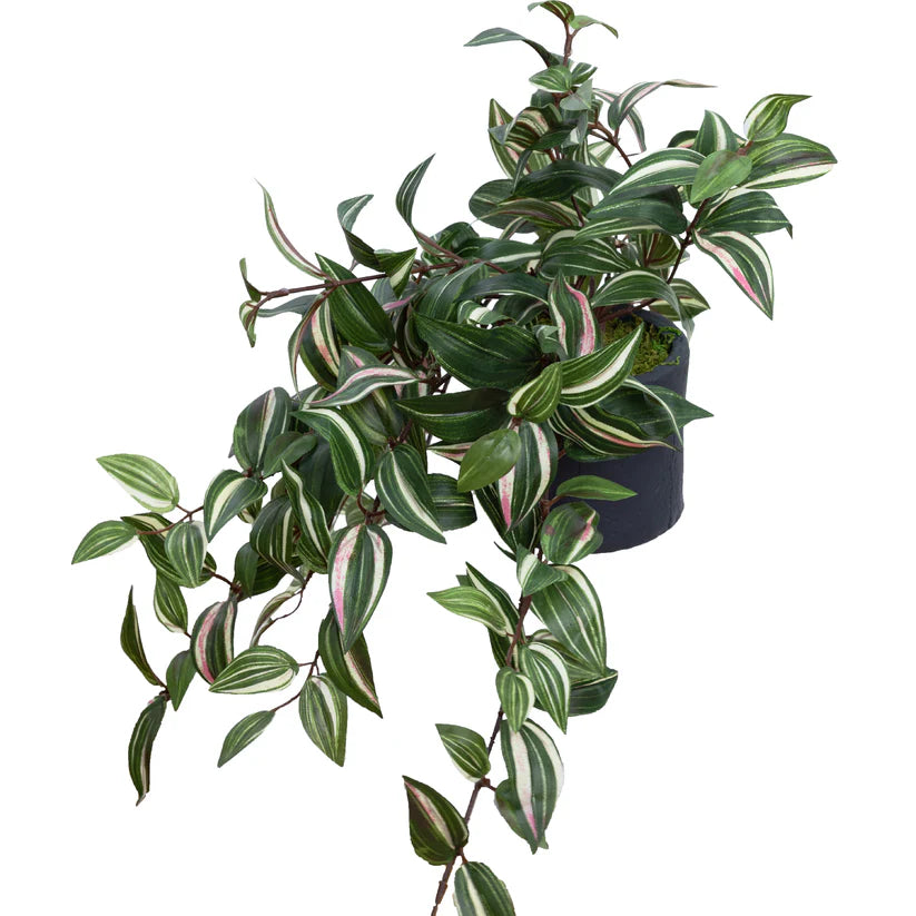 Wandering Jew in Pot 45cm Artificial Plants