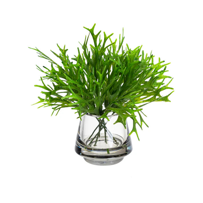 Platycerium Bush in Vase 26cm Artificial