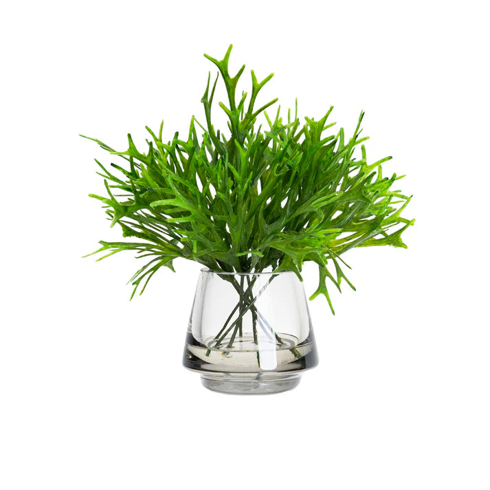 Platycerium Bush in Vase 26cm Artificial