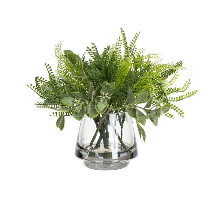 Aglaia & Fern in Vase 23cm Artificial