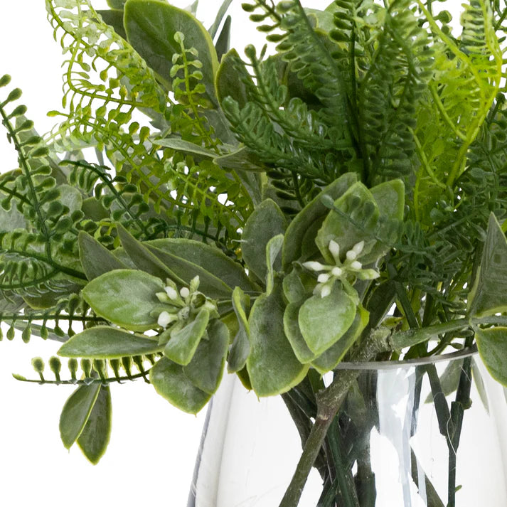 Aglaia & Fern in Vase 23cm Artificial
