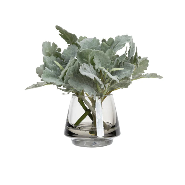 Dusty Miller in Glass 20cm Artificial