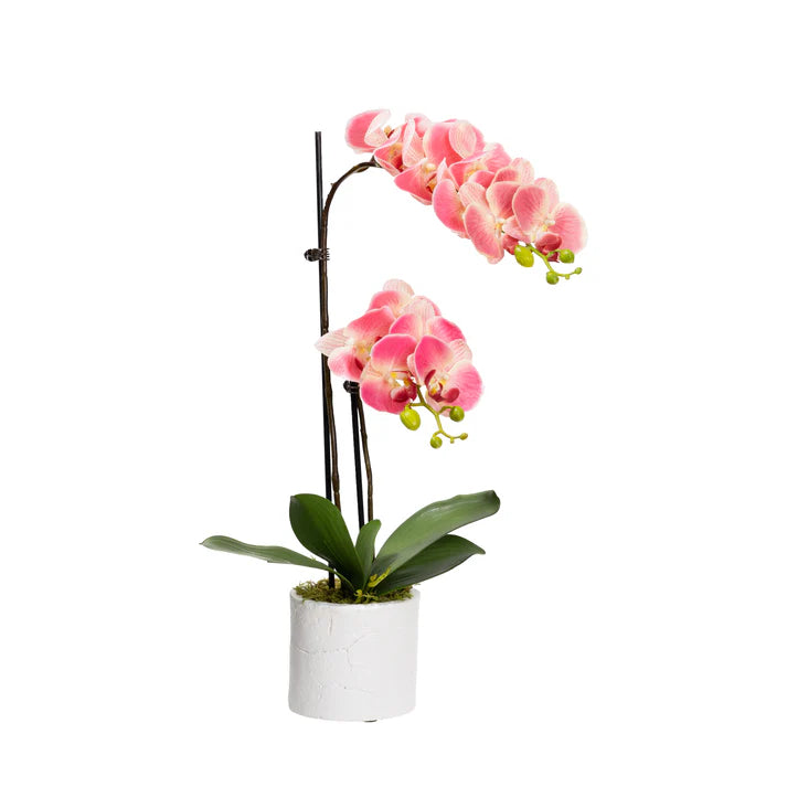 Orchid in Pot 60cm Artificial