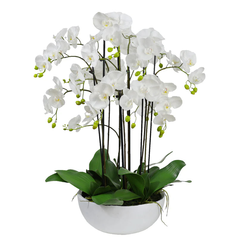 Orchid in Ceramic Bowl 92cm Artificial