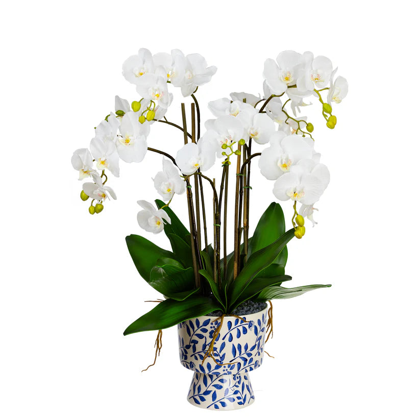 Orchid in Hampton Pot 83cm Artificial