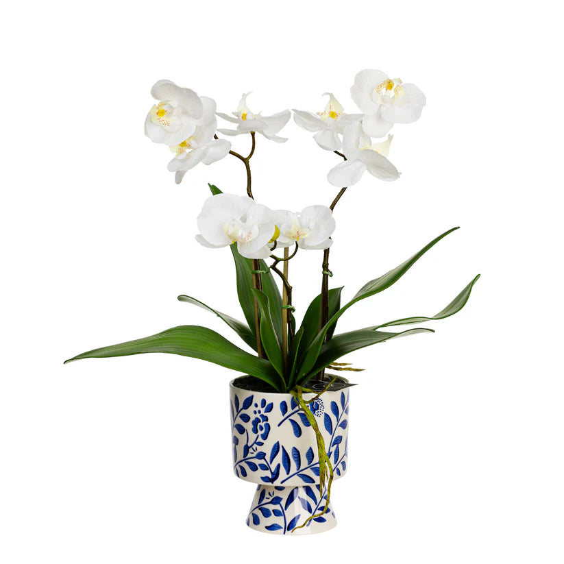 Orchid in Hampton Pot 72cm Artificial