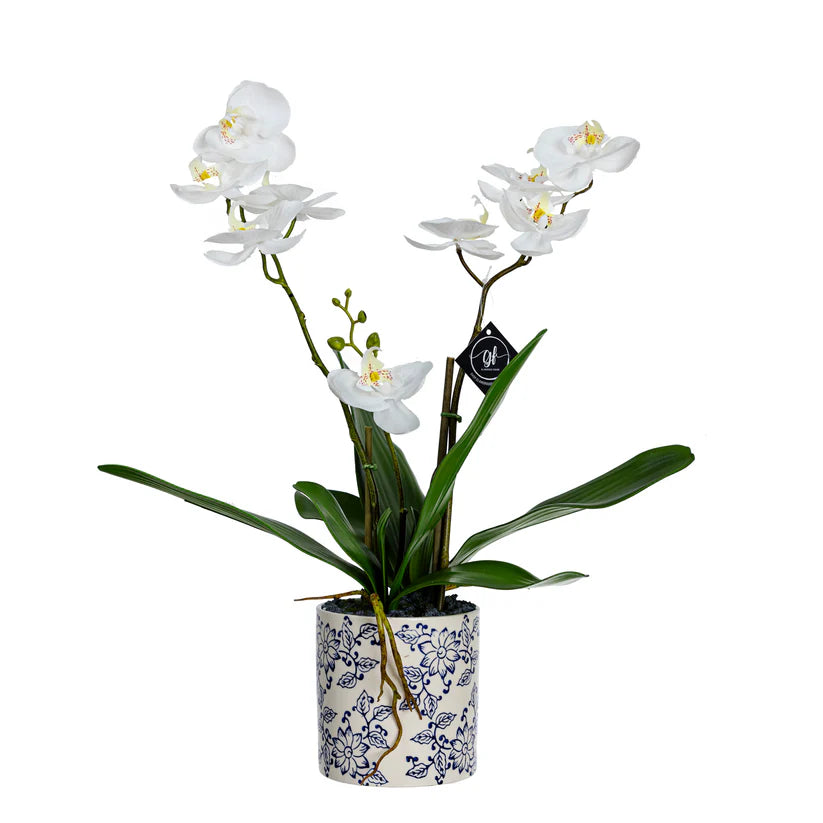Orchid in Hampton Pot 55cm Artificial
