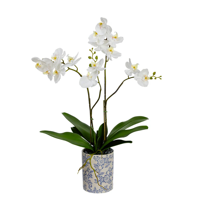 Orchid in Hampton Pot 74cm Artificial