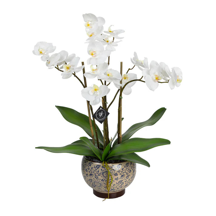 Orchid in Hampton Pot 60cm Artificial