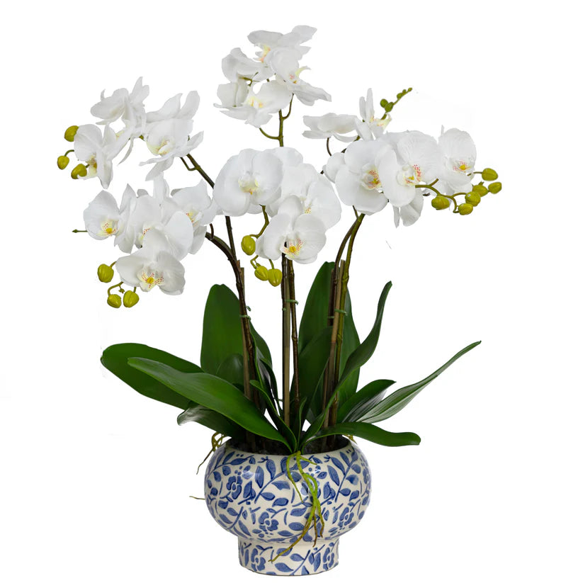 Orchid in Hampton Bowl 72cm Artificial