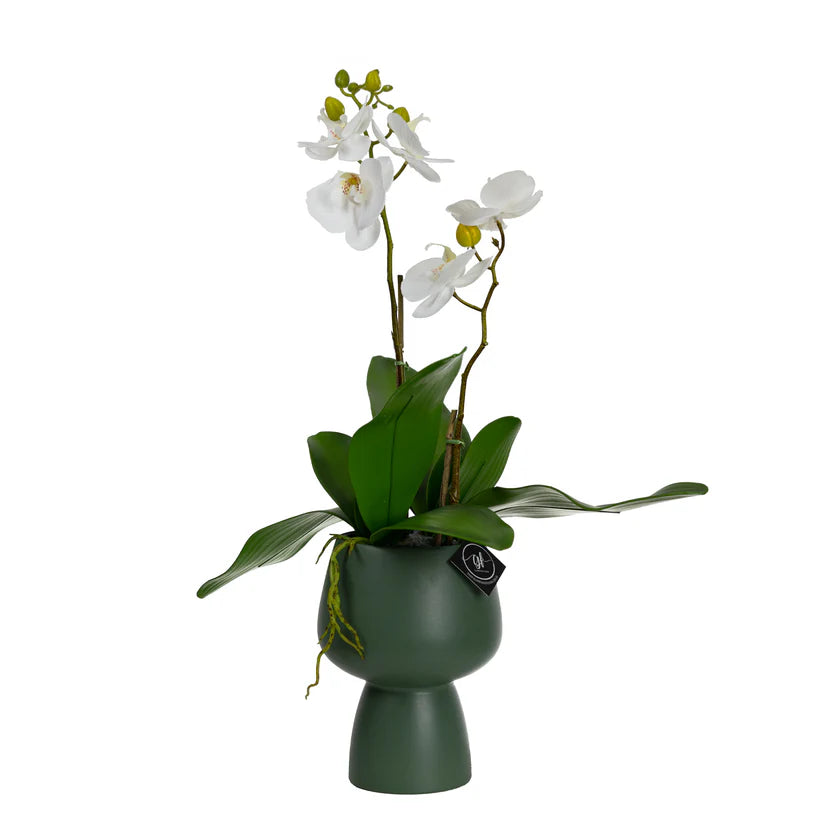 Orchid in Green Pedestal Pot 70cm Artificial