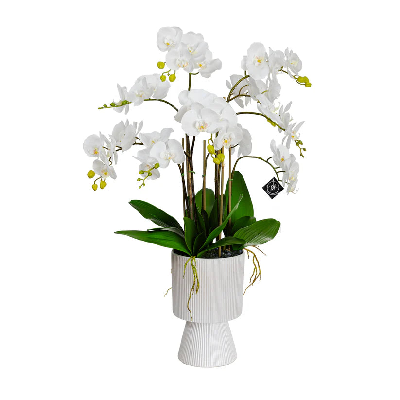 Orchid in Pedestal Pot 85cm Artificial