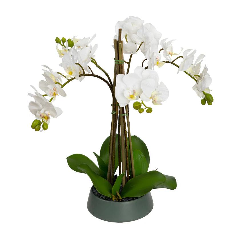 Orchid in Green Bowl 48cm Artificial
