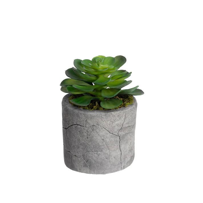 Faux Assorted Succulents Set of 4