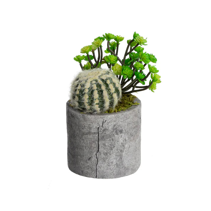 Faux Assorted Succulents Set of 4