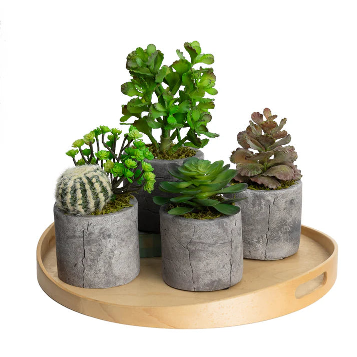 Faux Assorted Succulents Set of 4