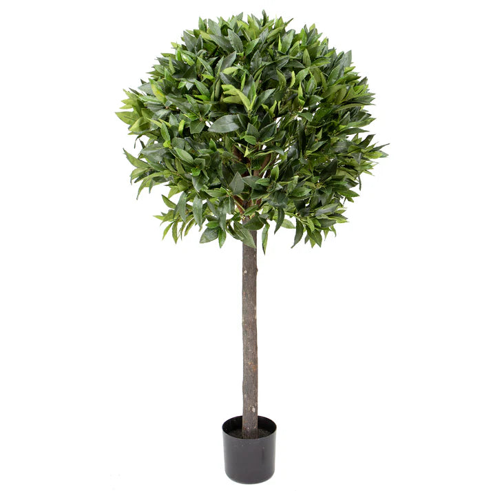 Bay Leaf Tree 125cm Artificial