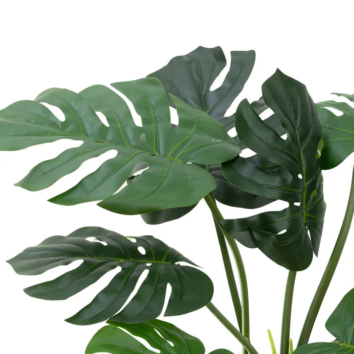 Monstera plant 60cm Artificial Plants