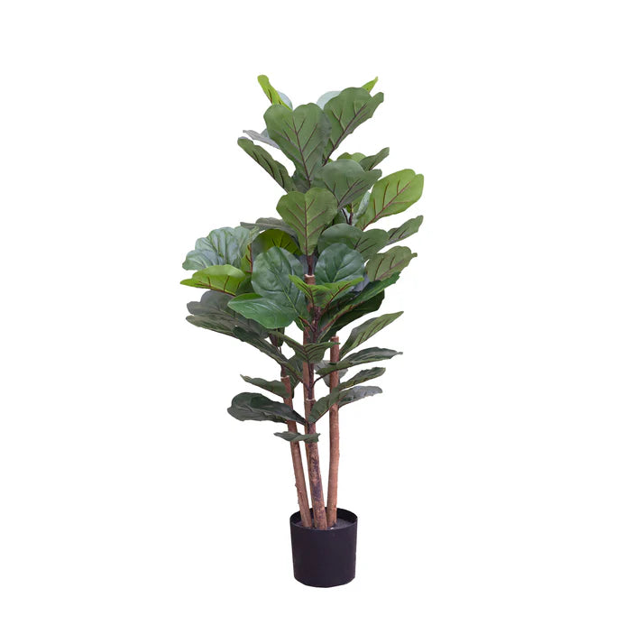 Fiddle Tree in Pot 120cm Artificial