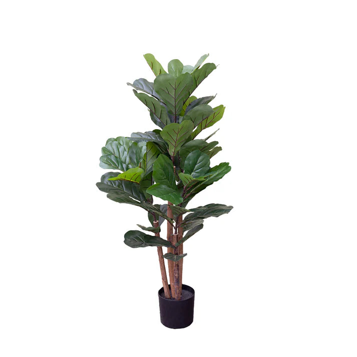 Fiddle Tree in Pot 120cm Artificial