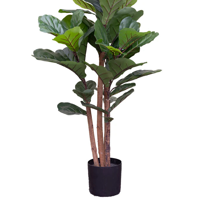 Fiddle Tree in Pot 120cm Artificial
