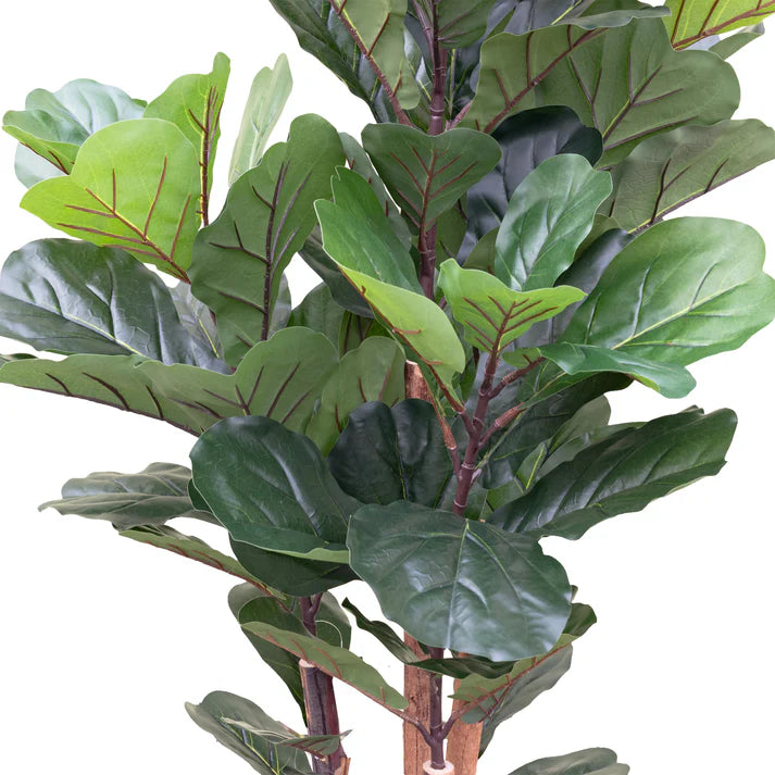 Fiddle Tree in Pot 150cm Artificial