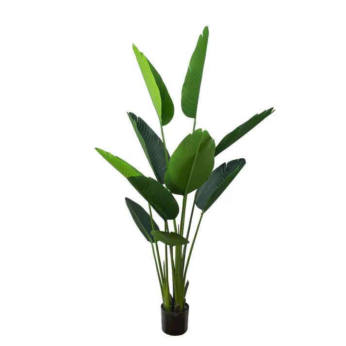 Traveler Palm Tree 150cm Artificial Plants
