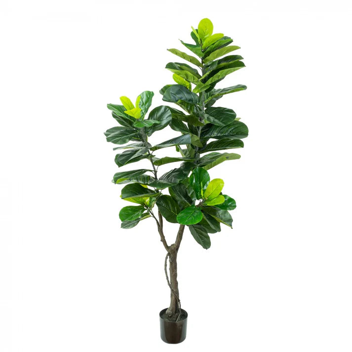 Fiddle Fig Leaf Tree Real Touch 180cm Artificial Plants