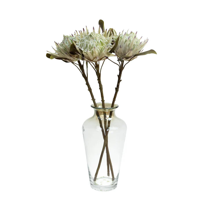 King Protea