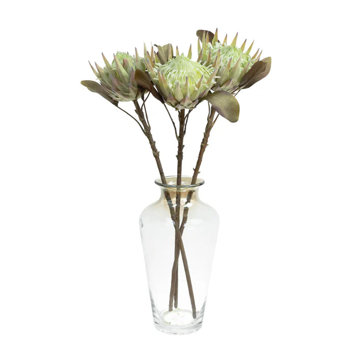 King Protea