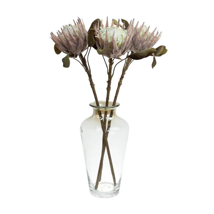 King Protea