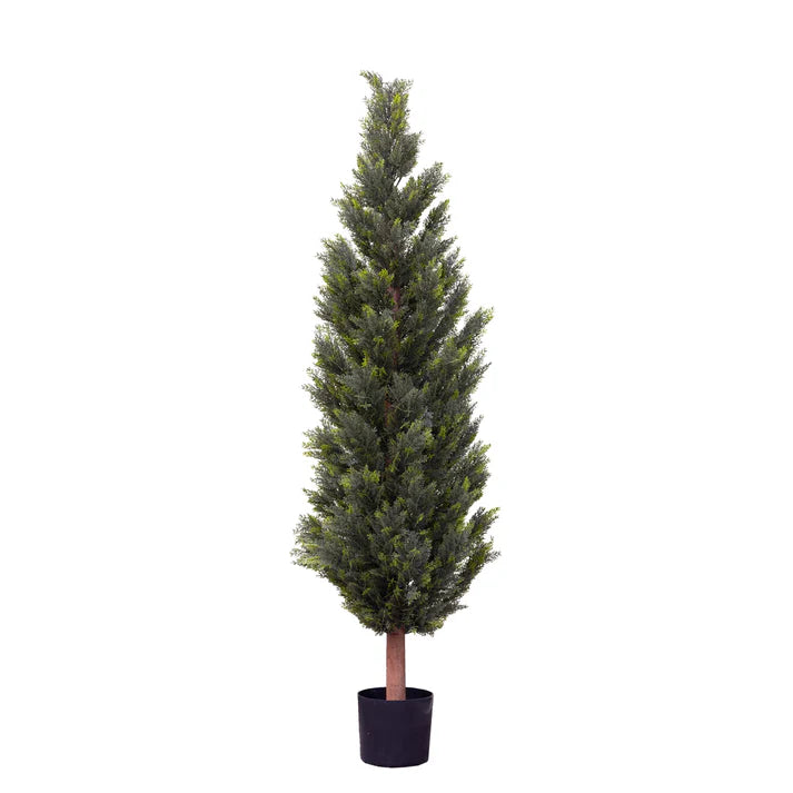 Cypress Pine Tree in Pot 180cm Artificial