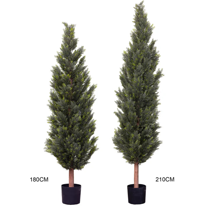 Cypress Pine Tree in Pot 210cm Artificial