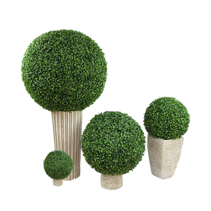 Boxwood Ball