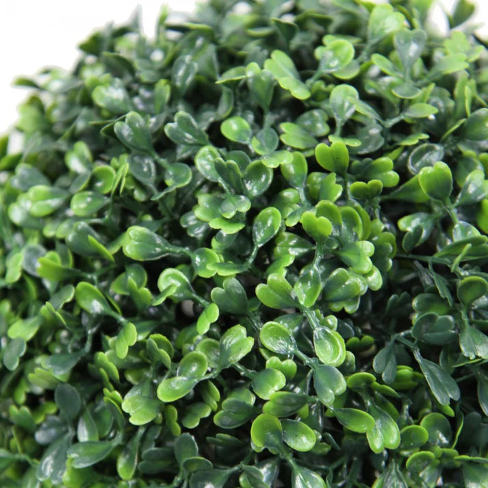 Boxwood Ball