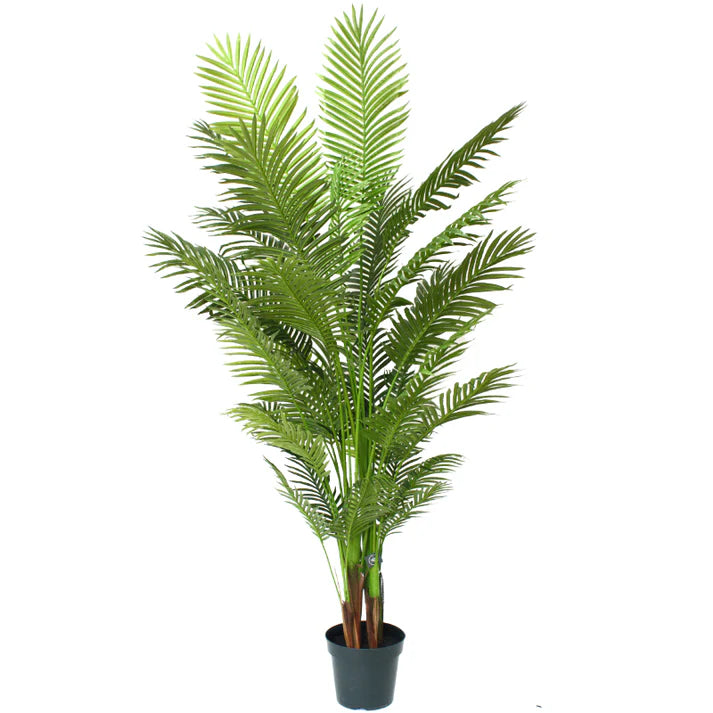 Areca Palm Tree 213cm Artificial Plants