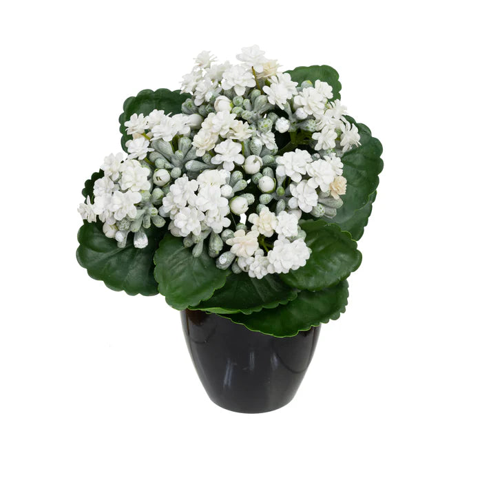 Kalanchoe Bush in Pot Set - Artificial Flower Arrangements and Artificial Plants