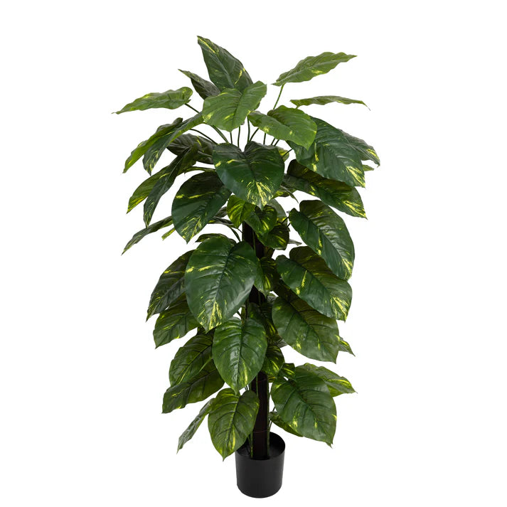 Pothos on Pole 168cm Artificial