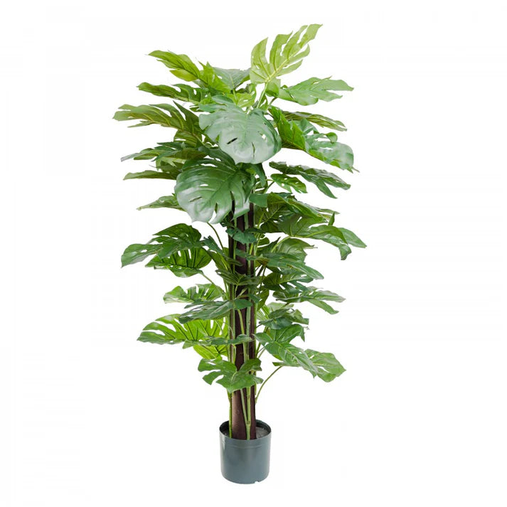 Split Philo on Pole 137cm Artificial Plants