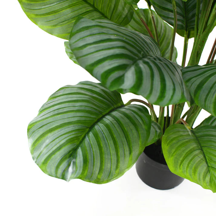 Calathea Faux Plant in Pot 110cm Artificial
