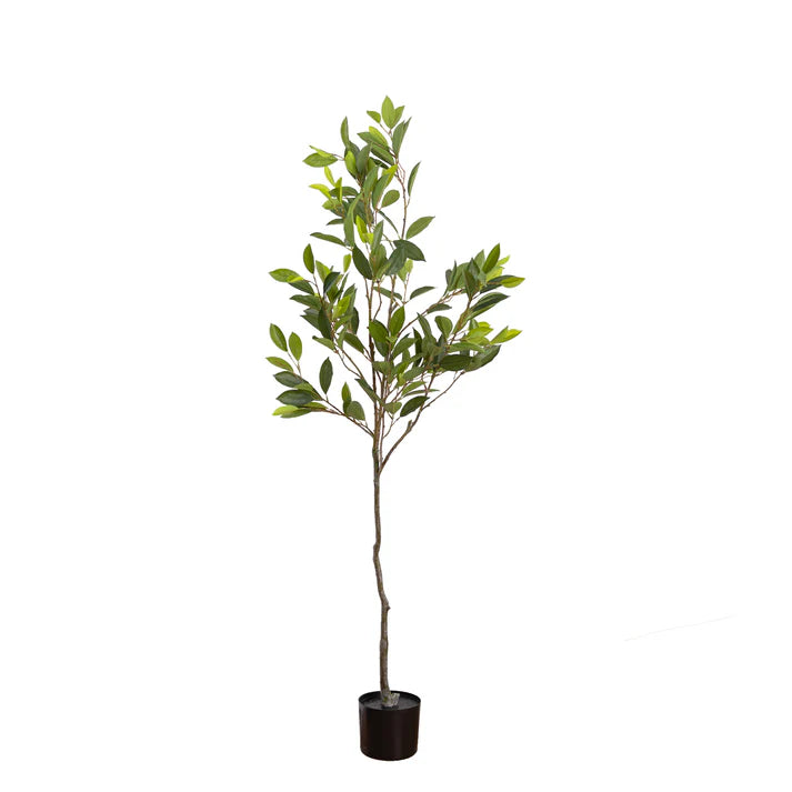 Camelia Leaf Tree 152cm Artificial