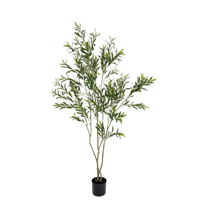 Olive Tree 182cm Artificial