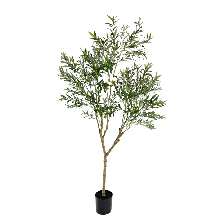 Olive Tree 213cm Artificial