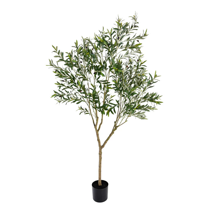 Olive Tree 213cm Artificial