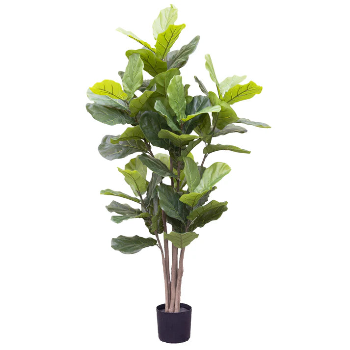 Giant Fiddle Leaf Tree in Pot 182cm Artificial