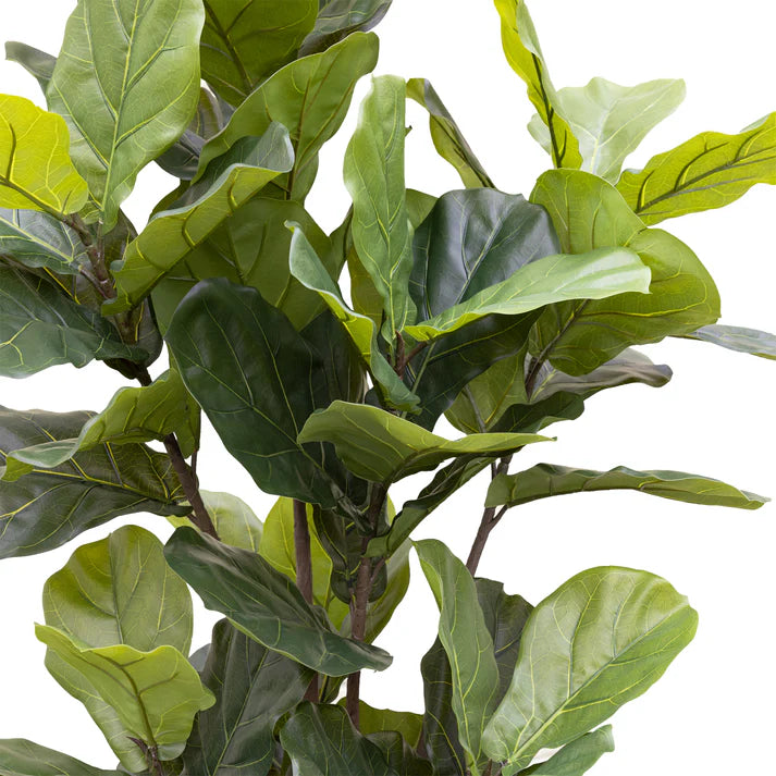 Giant Fiddle Leaf Tree in Pot 182cm Artificial