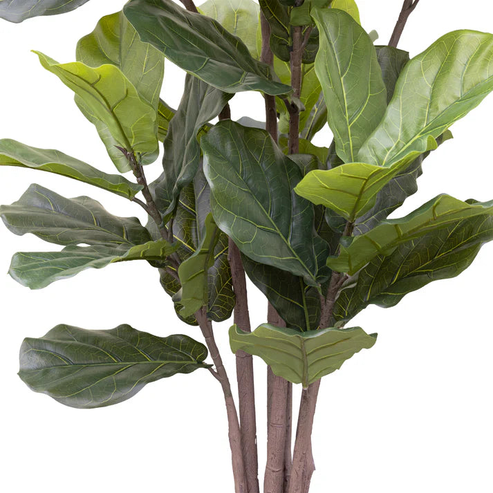 Giant Fiddle Leaf Tree in Pot 182cm Artificial