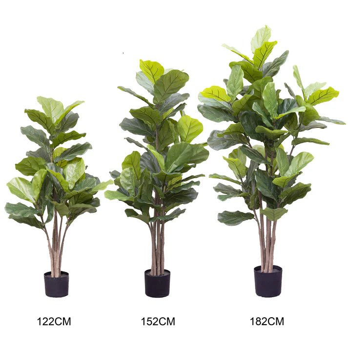 Giant Fiddle Leaf Tree in Pot 182cm Artificial