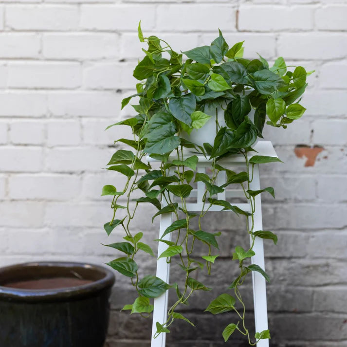 Philo Bush in Hanging Planter - Artificial Flower Arrangements and Artificial Plants